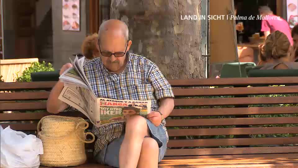 Hafenvideo - Mallorca Hafenvideo - Mallorca